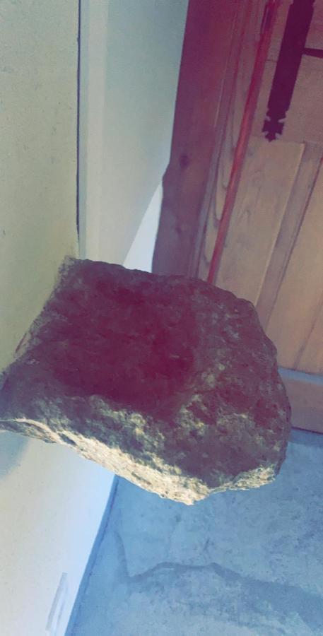 Pensjonat La Bergerie Du Chene Omessa Zewnętrze zdjęcie